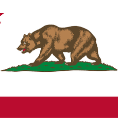 California bear on grass above a red stripe, cropped from the state flag